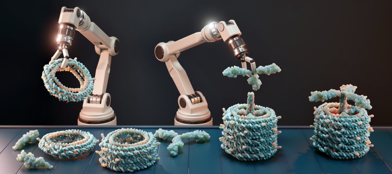 BioSysteM