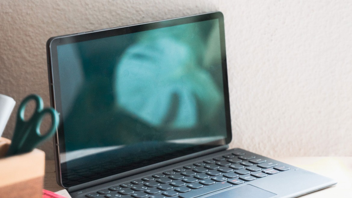 Pflanze Monstera spiegelt sich in Laptop-Bildschirm