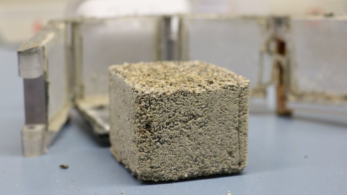 Beton Bakterien