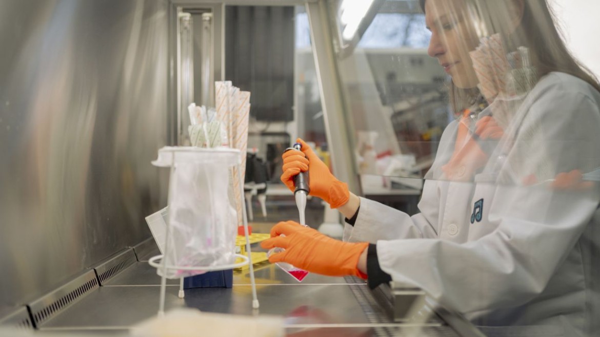 Laborversuch zu Proteingerüsten in 3D