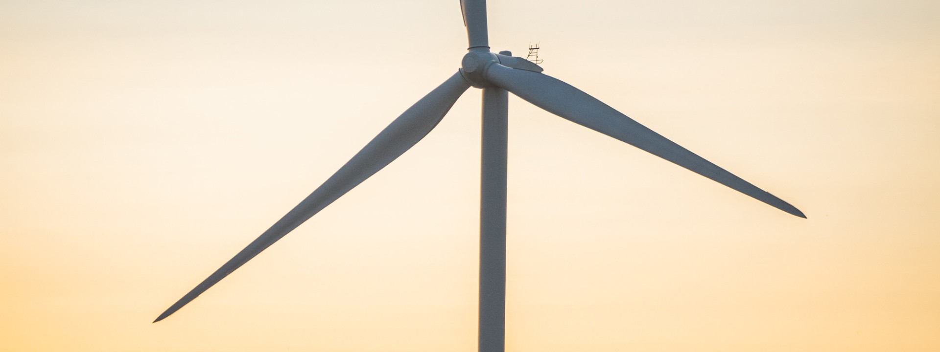 Studienangebot Regenerative Energien - Elektrotechnik (Photo by Luke Thornton on Unsplash) Studienangebot Regenerative Energien - Elektrotechnik