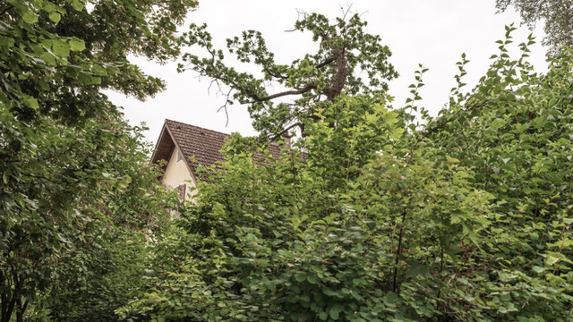 Denkmalgeschützte Villa mit Garten in München, MA Schluesselkompetenz