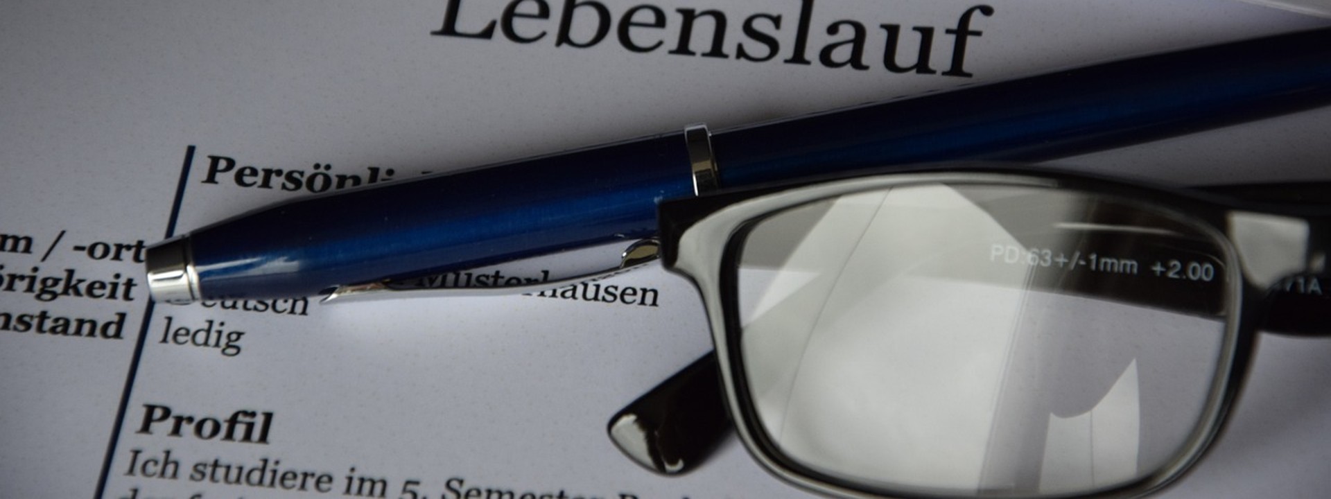 Lebenslauf