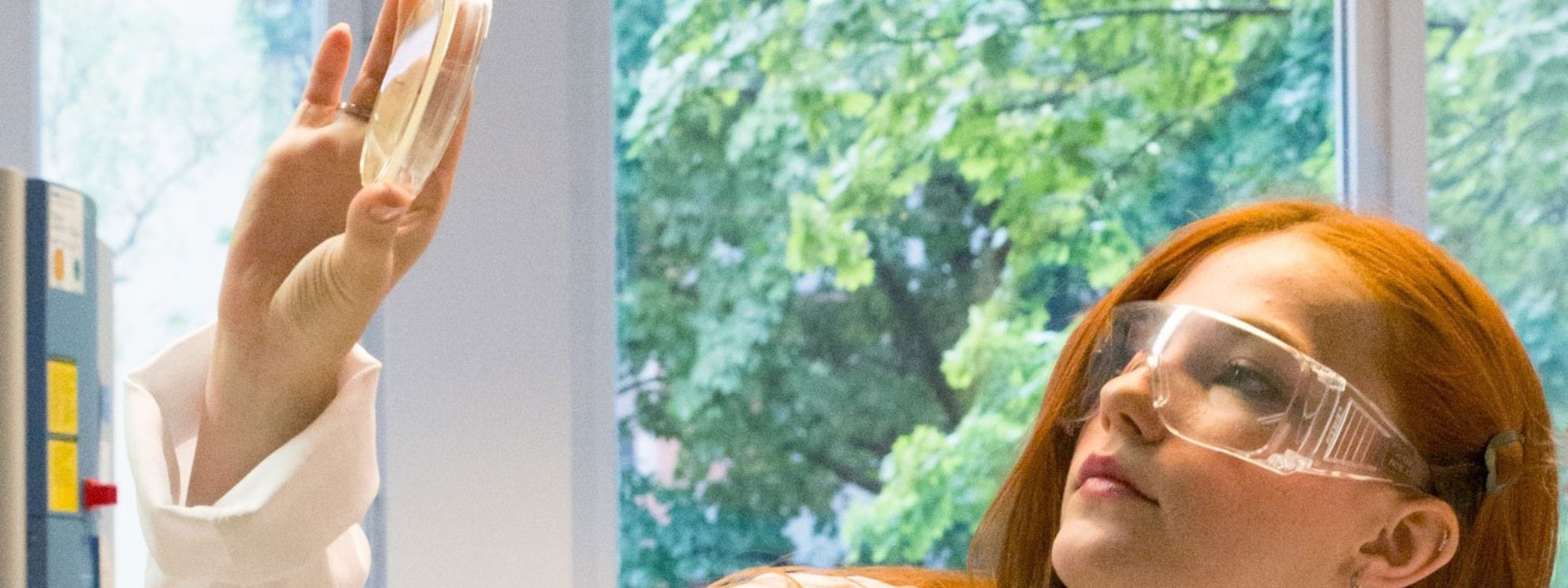 Studentin beim Betrachten einer Probenschale im Labor für Biochemie / Mikrobiologie