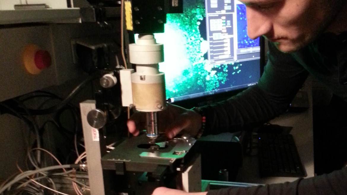 Multiphoton Imaging Lab