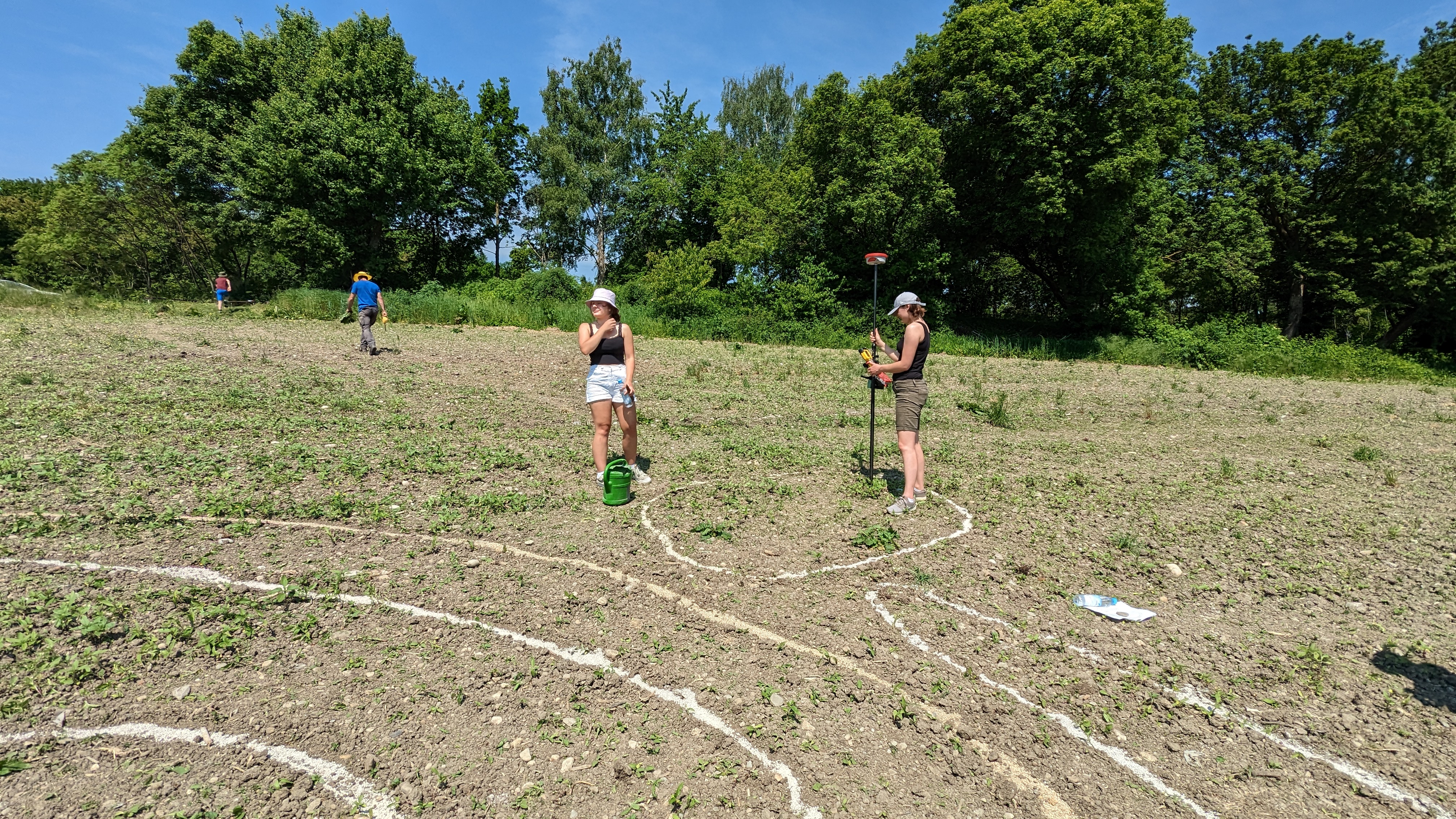 Linien auf dem Feld