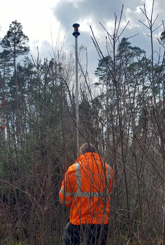 Person im Gebüsch