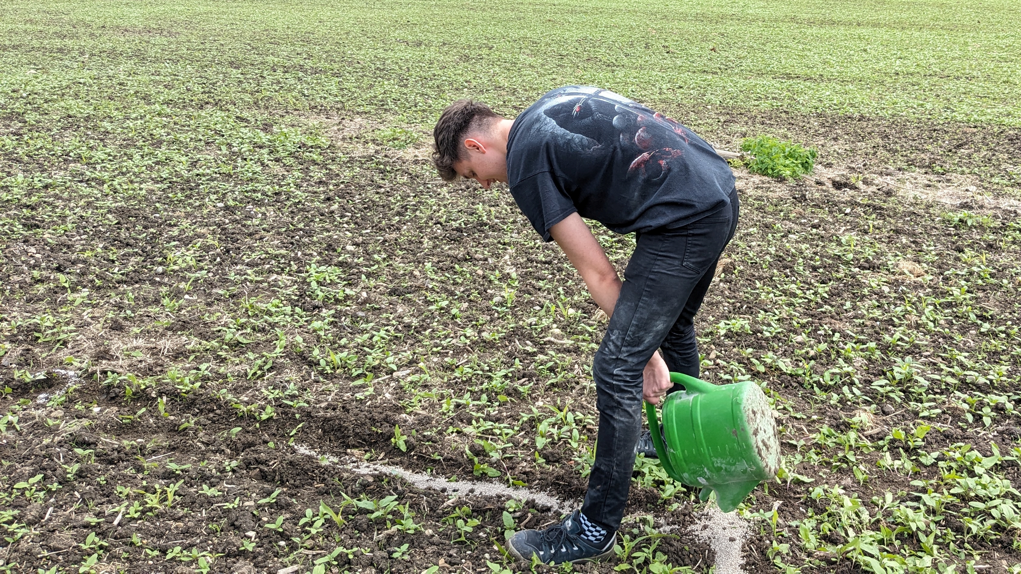 Bei der Arbeit