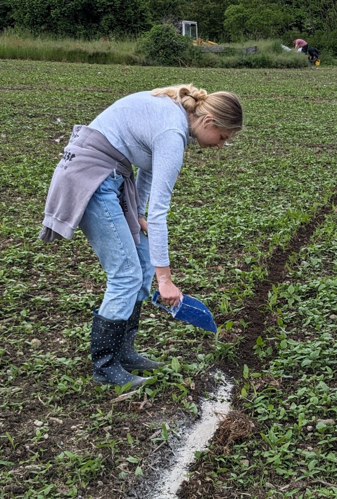 Bei der Arbeit