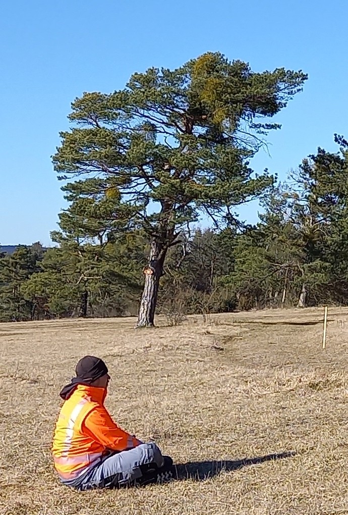 Person sitzt im Gras