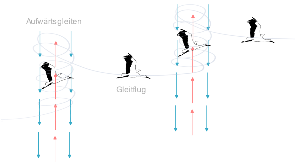 Grafik