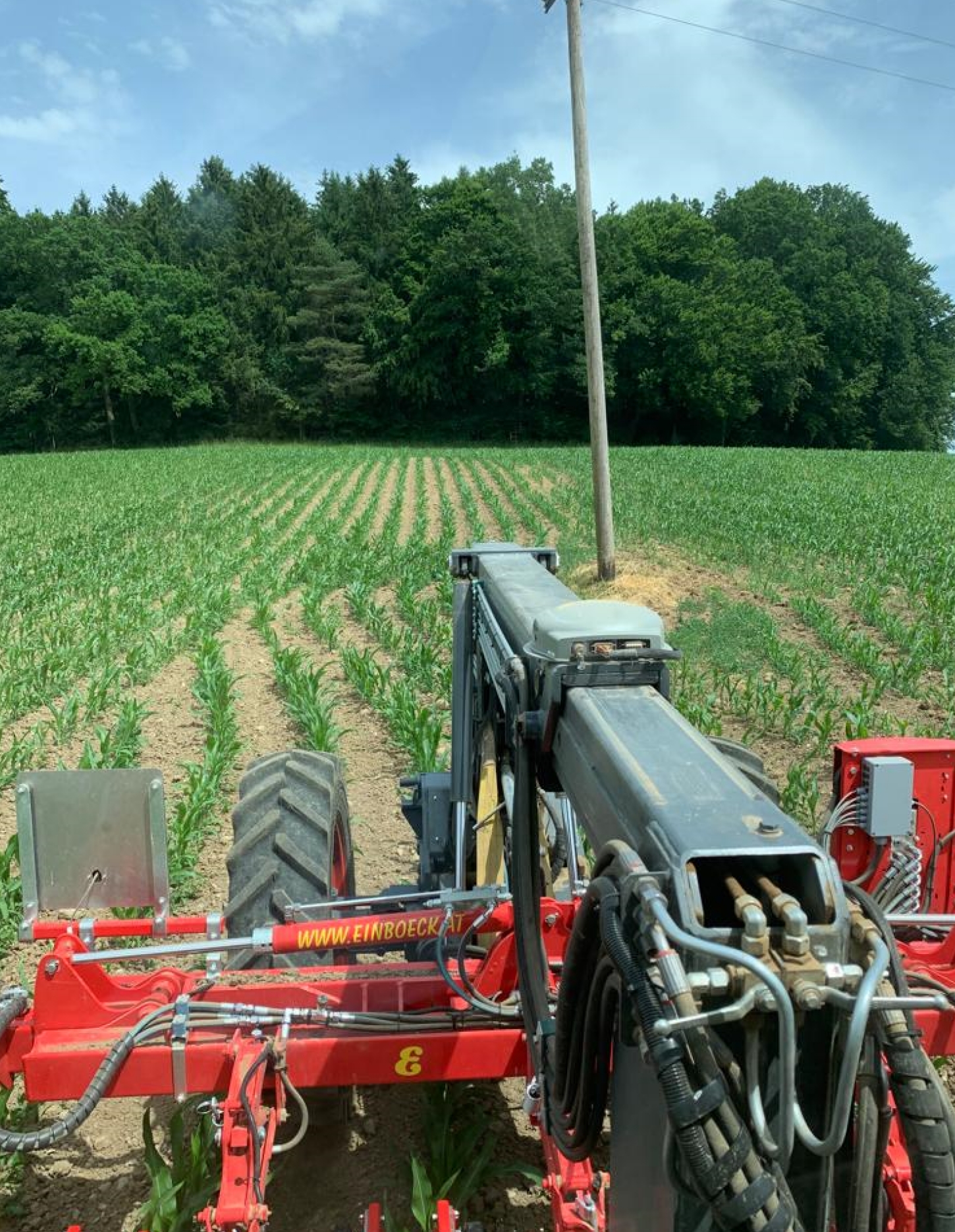 Foto Feld mit Mast