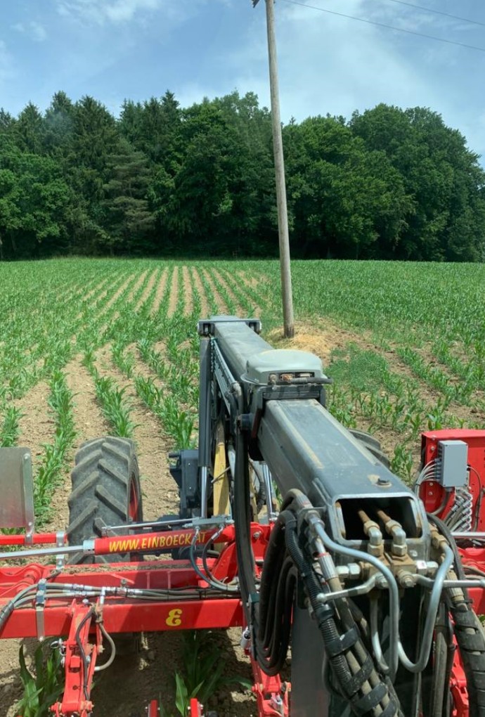 Foto Feld mit Mast