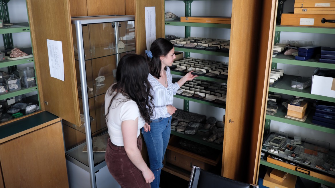 Geologische Sammlung