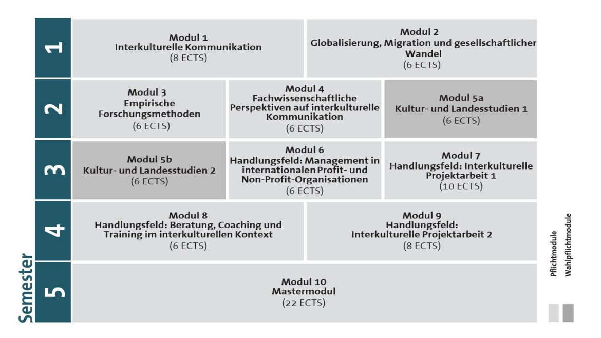 Modulplan Master Interkulturelle Kommunikation und Kooperation